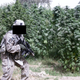 Illustration for article titled Everything You Wanted To Know About Porn, Weed, And Toilets In Afghanistan, Courtesy A Platoon Leader
